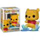 WINNIE THE POOH IN THE RAIN / WINNIE LOURSON / FIGURINE FUNKO POP / EXCLUSIVE SPECIAL EDITION