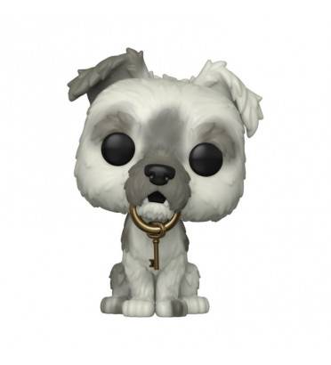 PIRATES OF THE CARIBBEAN DOG / DISNEY WORLD / FIGURINE FUNKO POP