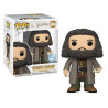 HAGRID AVEC LETTRE OVERSIZED / HARRY POTTER / FIGURINE FUNKO POP / EXCLUSIVE SPECIAL EDITION