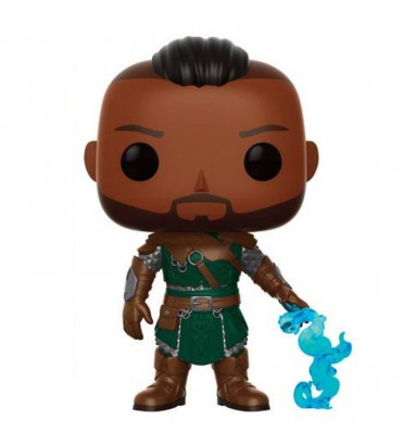 WARDEN / THE ELDER SCROLLS / FIGURINE FUNKO POP