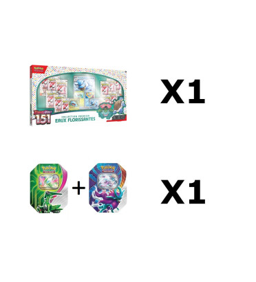 BUNDLE EAUX FLORISSANTES + 2 POKEBOX / CARTE POKEMON VF