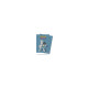 BUNDLE EAUX FLORISSANTES + 2 POKEBOX / CARTE POKEMON VF