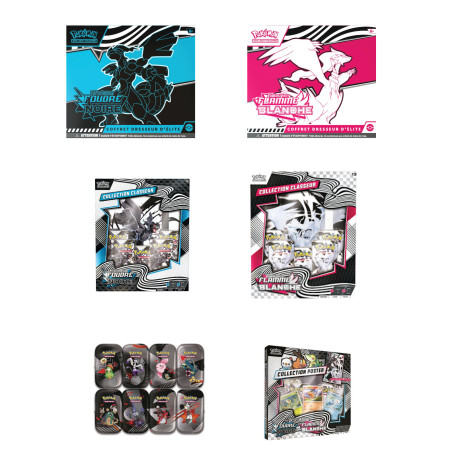 BUNDLE 2 ETB EV10.5 + 2 CLASSEUR EV10.5 + 1 DISPLAY MINI TIN EV10.5 + 1 POSTER EV10.5 / CARTE POKEMON VF