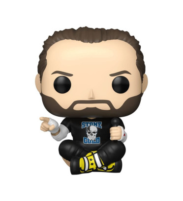 CM PUNK / WWE / FIGURINE FUNKO POP
