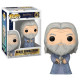 ALBUS DUMBLEDORE HORCRUXES / HARRY POTTER / FIGURINE FUNKO POP