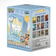 ILLUSTRATION RARE METAL DECK BOX SET / CARTE POKEMON CHINOISE