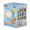 ILLUSTRATION RARE METAL DECK BOX SET / CARTE POKEMON CHINOISE