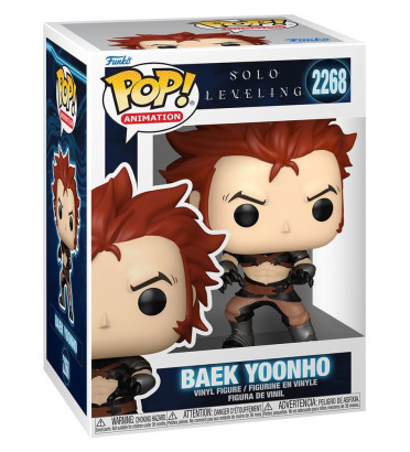BAEK YOONHO / SOLO LEVELING / FIGURINE FUNKO POP BAEK YOONHO / SOLO LEVELING / FIGURINE FUNKO POP