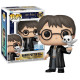 HARRY POTTER WITH HEDWIG / HARRY POTTER / FIGURINE FUNKO POP / EXCLUSIVE SPECIAL EDITION