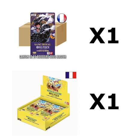 BUNDLE DISPLAY OP15 + CARTON 24 BOOSTERS BLISTERS OP10 / CARTE ONE PIECE VF