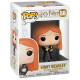 GINNY WEASLEY WITH TOM RIDDLE DIARY / HARRY POTTER / FIGURINE FUNKO POP