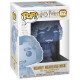 NEARLY HEADLESS NICK / HARRY POTTER / FIGURINE FUNKO POP