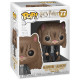 HERMIONE EN CHAT / HARRY POTTER / FIGURINE FUNKO POP