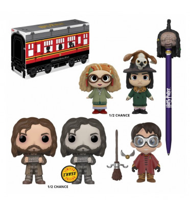 BOX HARRY POTTER / HARRY POTTER / FIGURINE FUNKO POP