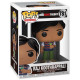 RAJ / THE BIG BANG THEORY / FIGURINE FUNKO POP