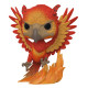 FAWKES FLOCKED / HARRY POTTER / FIGURINE FUNKO POP / EXCLUSIVE SDCC 2019