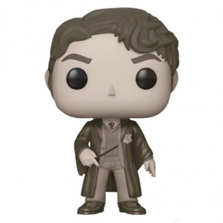 TOM RIDDLE SEPIA / HARRY POTTER / FIGURINE FUNKO POP / EXCLUSIVE WOOTBOX