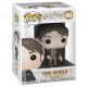 TOM RIDDLE SEPIA / HARRY POTER / FIGURINE FUNKO POP