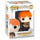 RON PUCKING SLUGS WITH BUCKET / HARRY POTTER / FIGURINE FUNKO POP