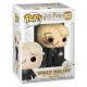 MALFOY WITH WHIP SPIDER / HARRY POTTER / FIGURINE FUNKO POP