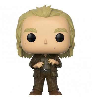 PETER PETTIGREW / HARRY POTTER / FIGURINE FUNKO POP