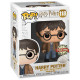 HARRY POTTER AVEC DEUX BAGUETTES / HARRY POTTER / FIGURINE FUNKO POP / EXCLUSIVE SPECIAL EDITION