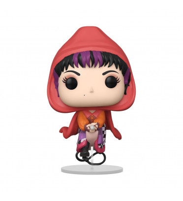 MARY SANDERSON FLYING / HOCUS POCUS / FIGURINE FUNKO POP