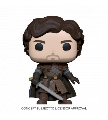 ROBB STARK WITH SWORD / GAME OF THRONES / FIGURINE FUNKO POP