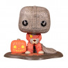 SAM WITH PUMPKIN AND SACK / TRUCK R TREAT / FIGURINE FUNKO POP / EXCLUSIVE SPECIAL EDITION