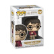 HARRY POTTER WITH STONE / HARRY POTTER / FIGURINE FUNKO POP